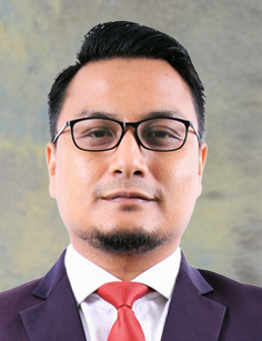 pengarah