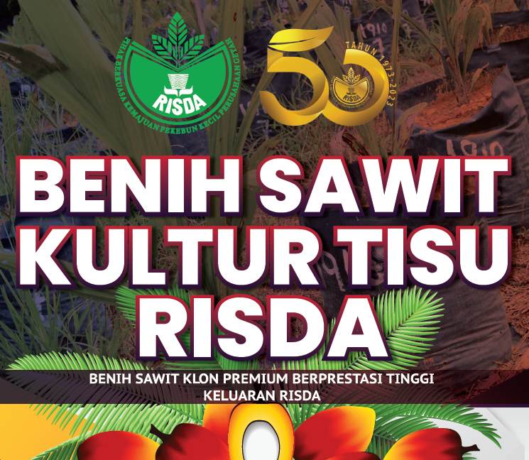 cover klon sawit
