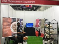 Kisah 8: Projek Cendawan